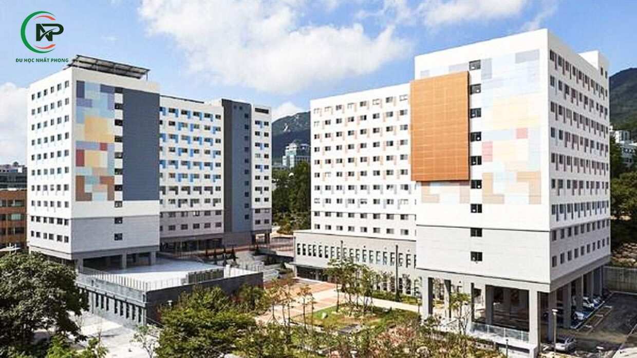 Pusan national university2 1