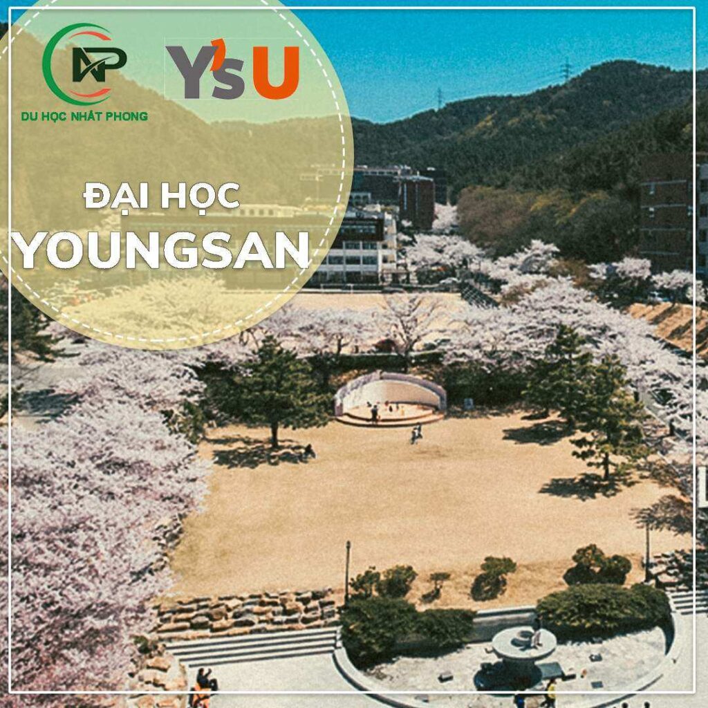 Trường Đại học Youngsan Hàn Quốc