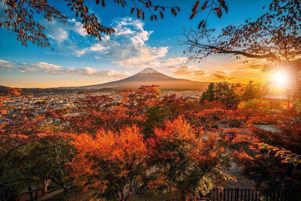 Japan Autumn