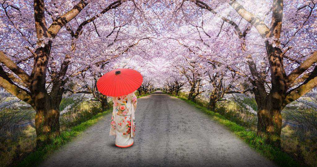 Japan Spring