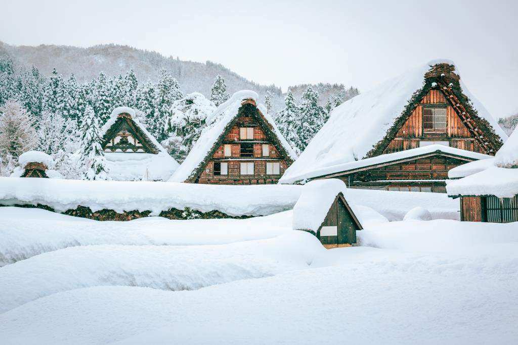 Japan winter