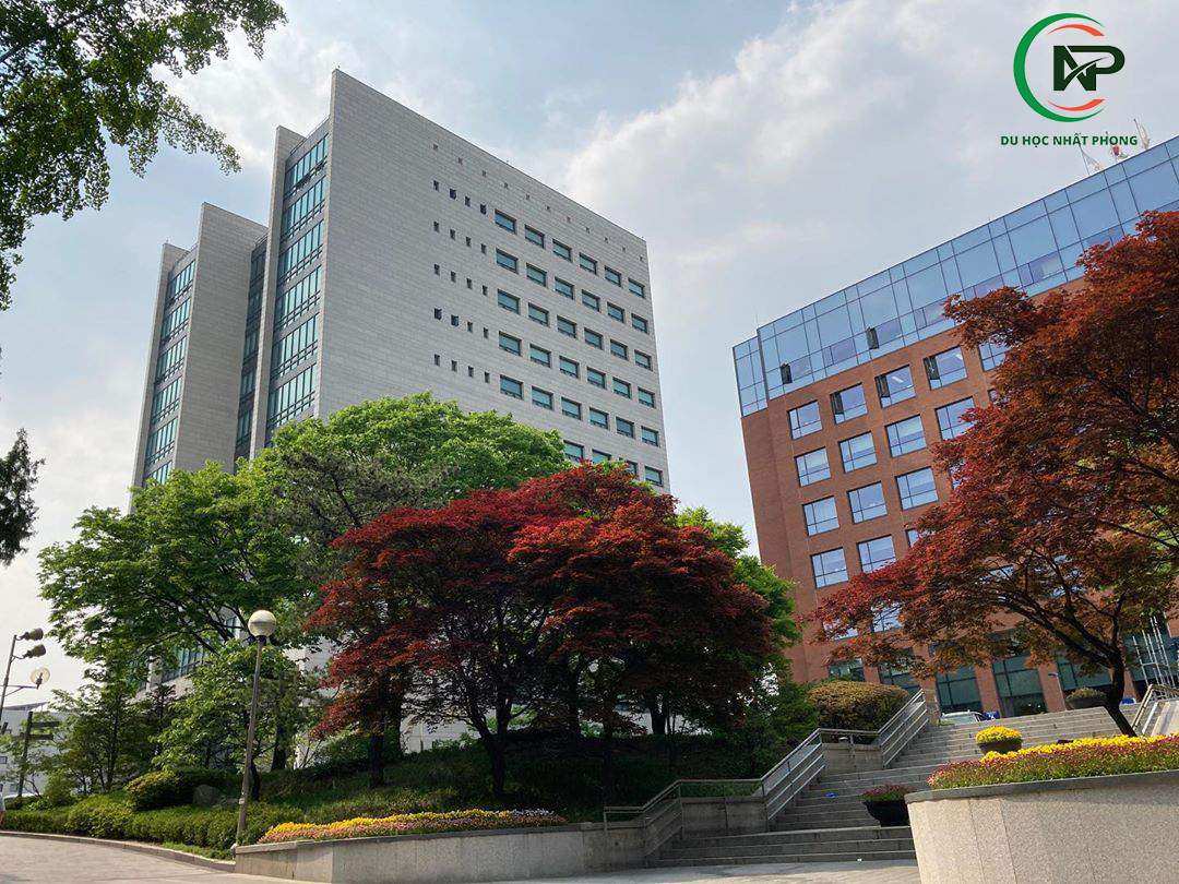 university of seoul