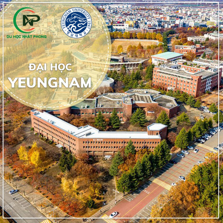 Banner đại học Yeungnam