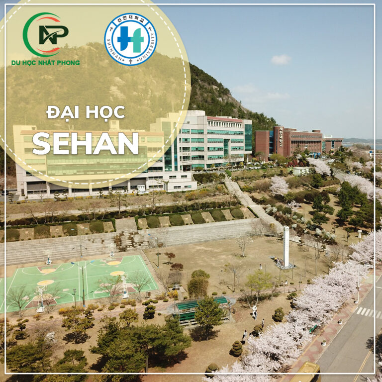 Banner đại học Sehan