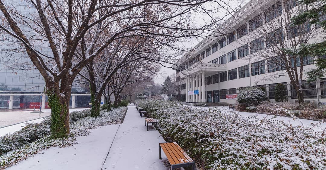 viện bảo tàng và truongf đại học quốc gia kyungpook vào mùa đông