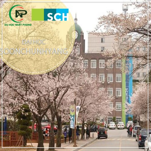 trường đại học soonchunhyang